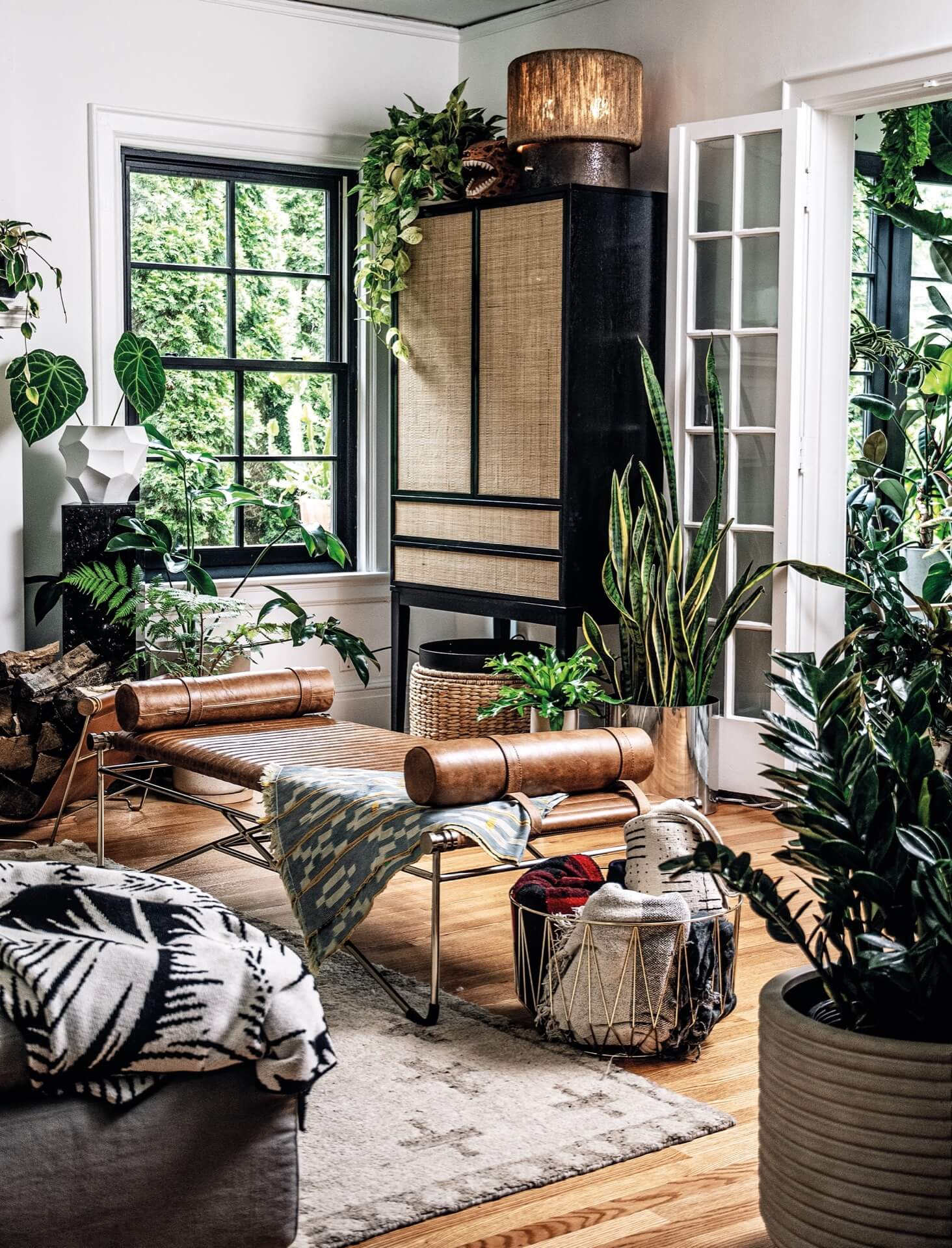 Contemporary living room filled with house plants