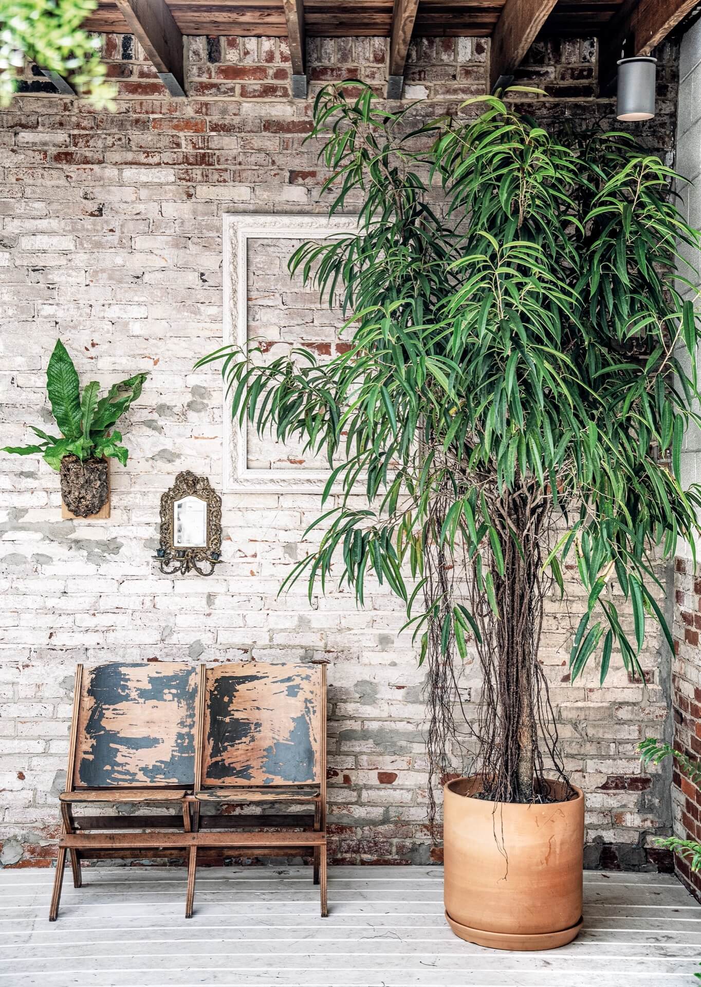 vintage seating in front of exposed brick wall and a large potted plant