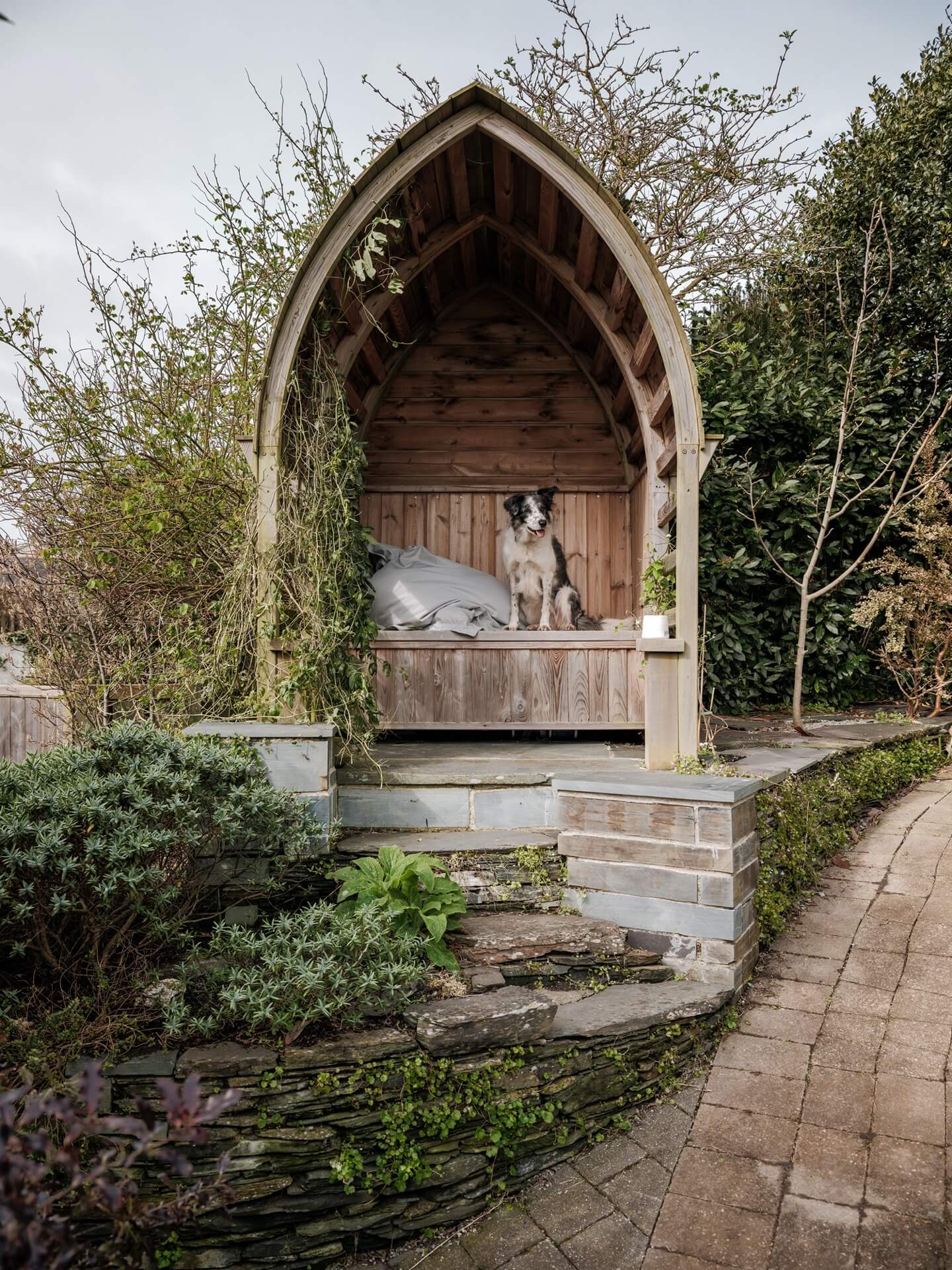 artist Sarah Adams Padstow home - her dog in the garden