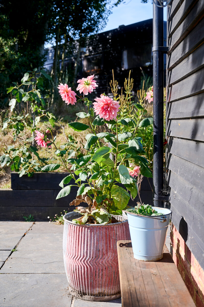 Home and studio of florist Graeme Corbett AKA Bloom and Burn, as featured in 91 Magazine Volume 17